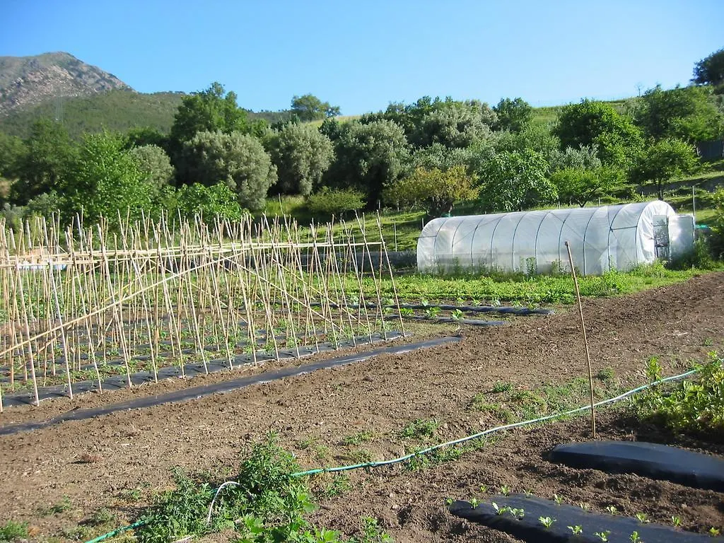 Agriturismo Valdolivo Cogoleto